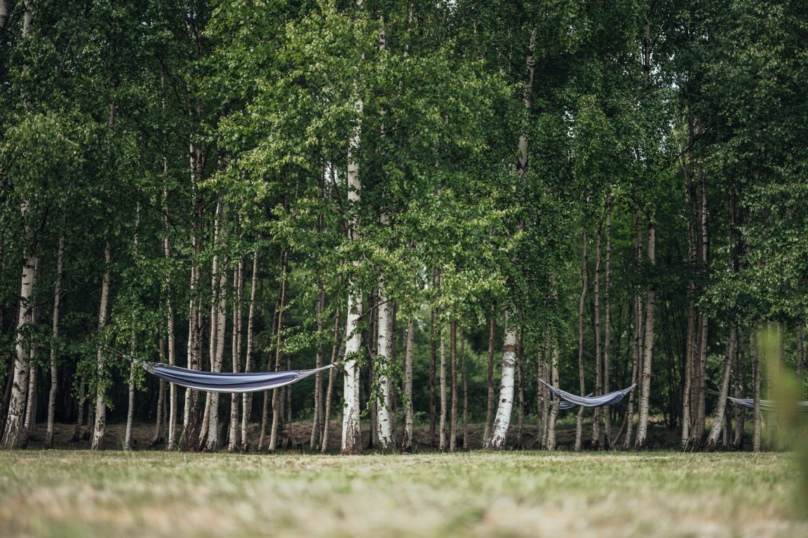 FotoValtersPelns_web-0100